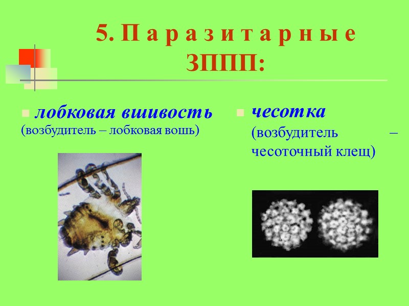 5. П а р а з и т а р н ы е 